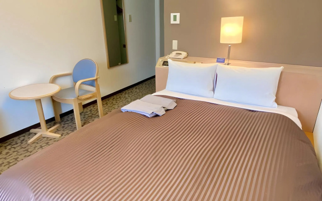 Hotel Castle Plaza