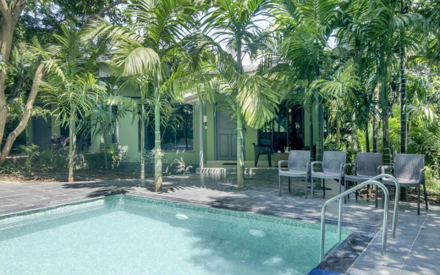 Silvanus Forest Retreat