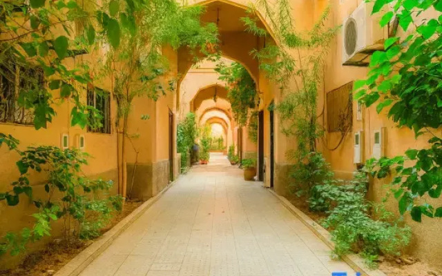 Riad Amirkesh and Pool