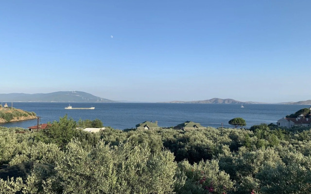 Marmara Zeytin Hotel