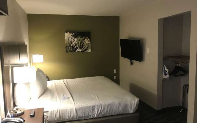 Best Western North Phoenix Hotel