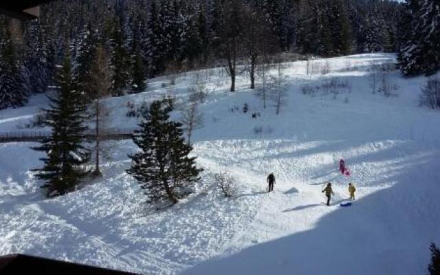 Duplex Apartment Right At The Ski Lift Tracks