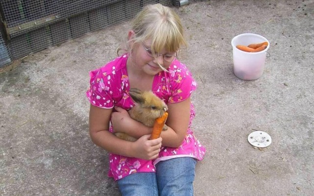 Landgasthof Probstei Zella