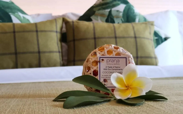 Prana Resort Nandana