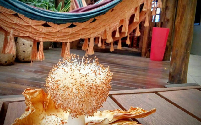 Pousada Baoba