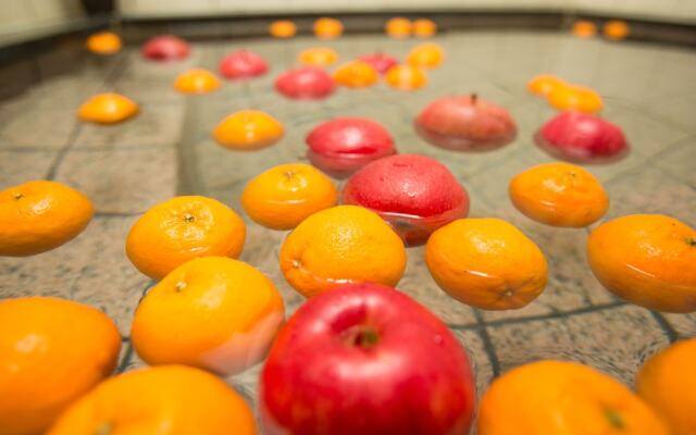 Kinosaki THE CRAB HOUSE KANIAN