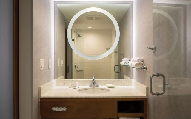 SpringHill Suites by Marriott Miami Downtown/Medical Center