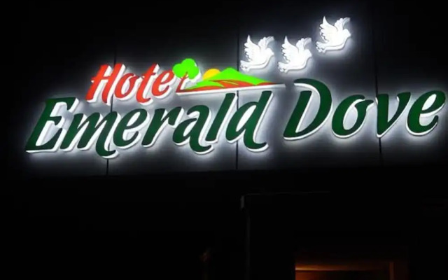 Emerald Dove