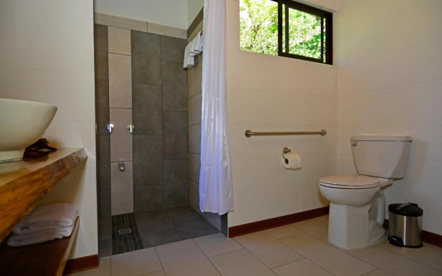 Aves De Tierras Altas