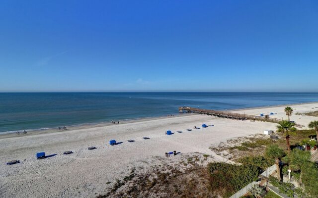 Beach Palms 504