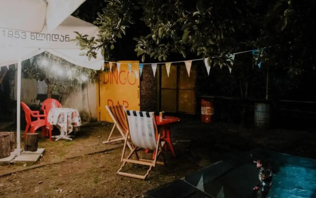 Dingo Backpackers Hostel