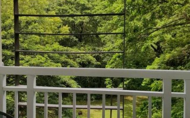 Pico De Loro - Myna B Studio