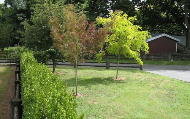 Karapiro Willows Luxury B & B