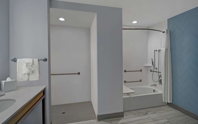 Hilton Garden Inn Houston Medical Center