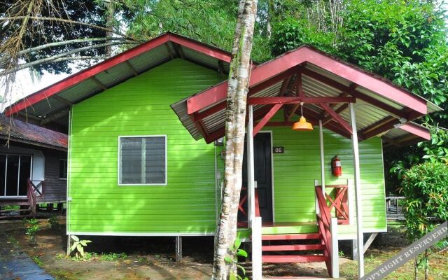 Sukau Greenview Bed and Breakfast