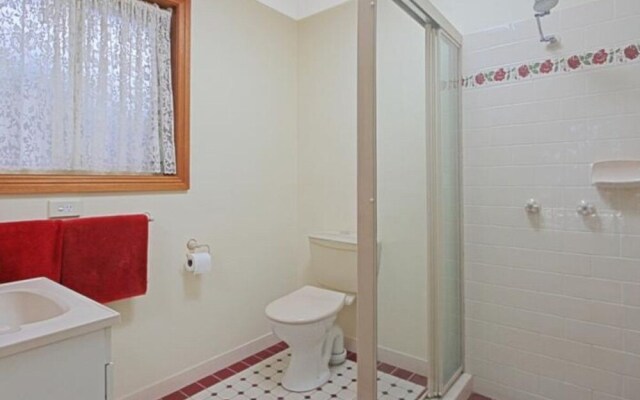 14 Lomandra
