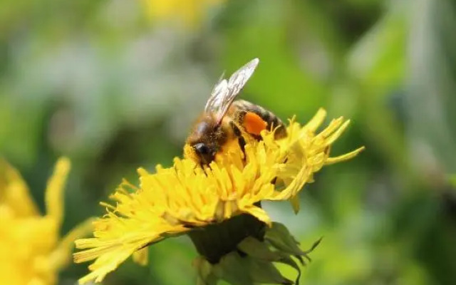 Urlaub mitten im Wald - Lueg