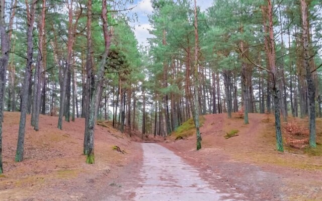 Awesome Apartment in Stegna With Wifi