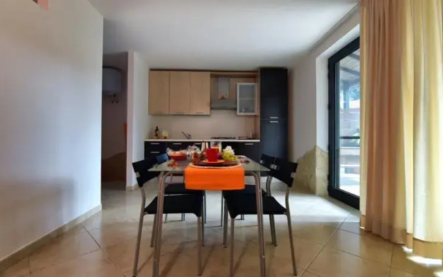 OLYMPUS PARK amnesia