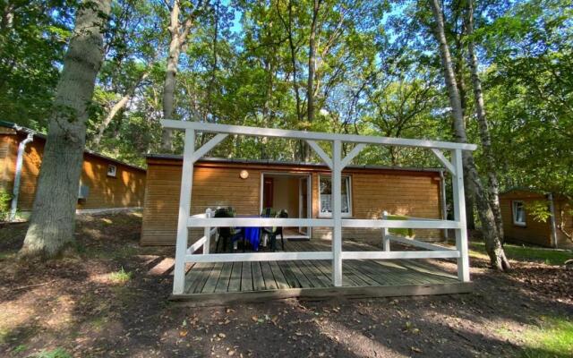 Ferienpark-Eichenwald