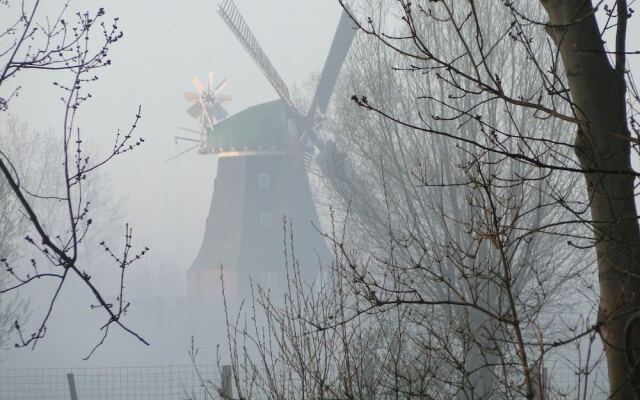 Spacious Apartment With Garden in Boisendorf