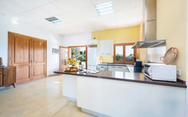 Cas Colector in Selva