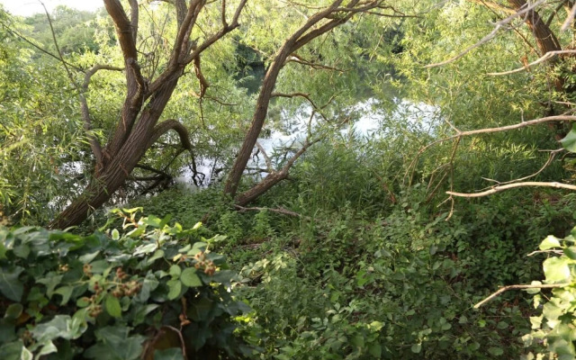 "room in House - Aa Guest Room4 "