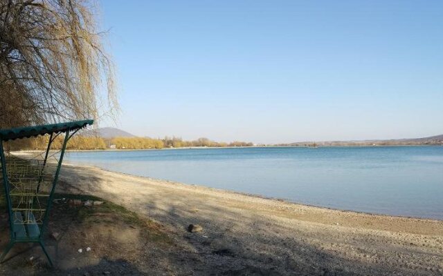 Gostinitsa Volna