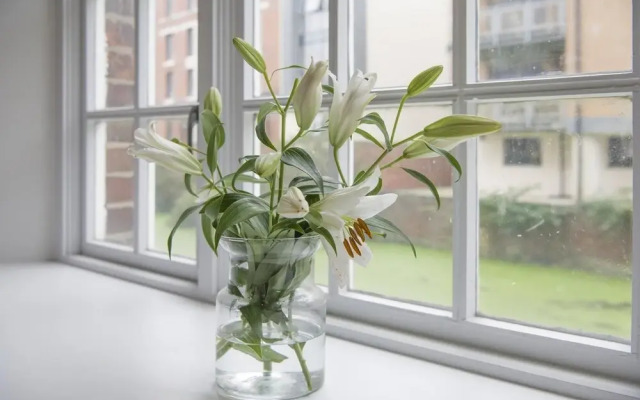 Chocolets - The Foss Suite