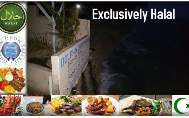 Dolphin Dhow Beach Safaris