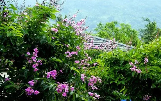 Nanmei Hot Spring Mountain Villa