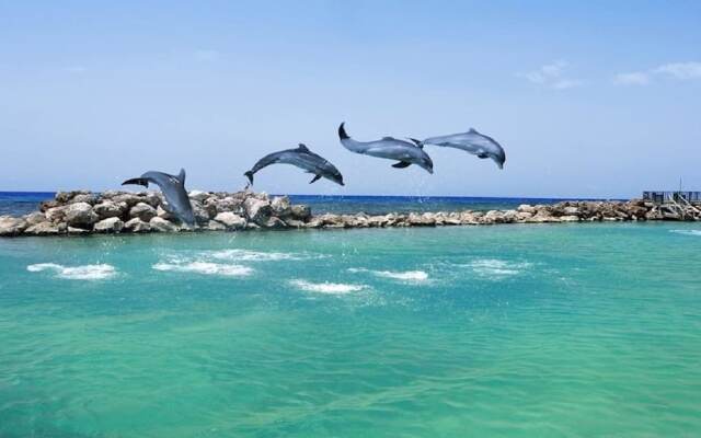 Ocean View Villa at Coolshade Ocho Rios