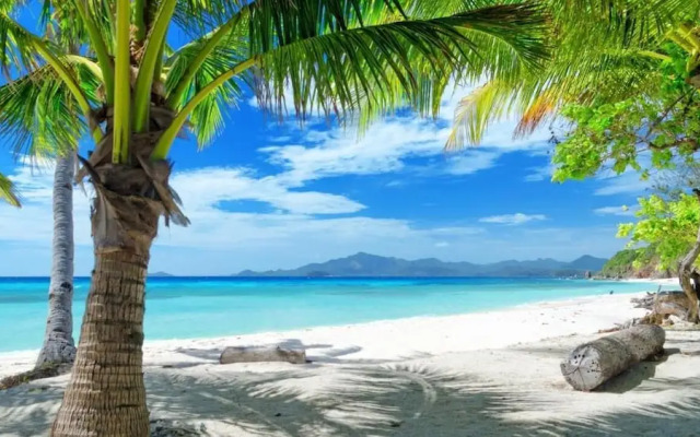 Island Cove