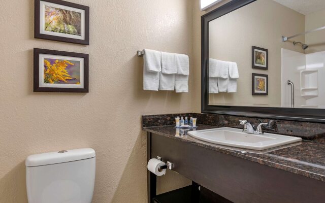 Comfort Inn Airport Turfway Road