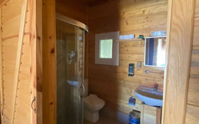 Green Pine Beach & Bungalows Luxury Concept