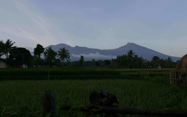 Cahaya Tetebatu Inn