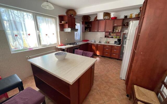 Vila Valea Sohodolului