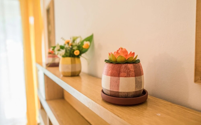 Rooms & Apartment GH Pasha