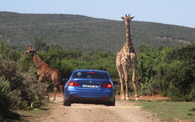 Valley Bushveld Country Lodge