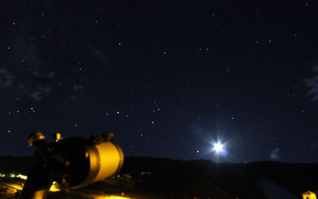 Los Nacientes Cordero by Isla Bonita