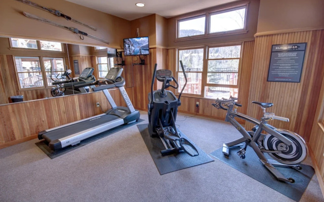 Black Bear 8035 by SummitCove Vacation Lodging