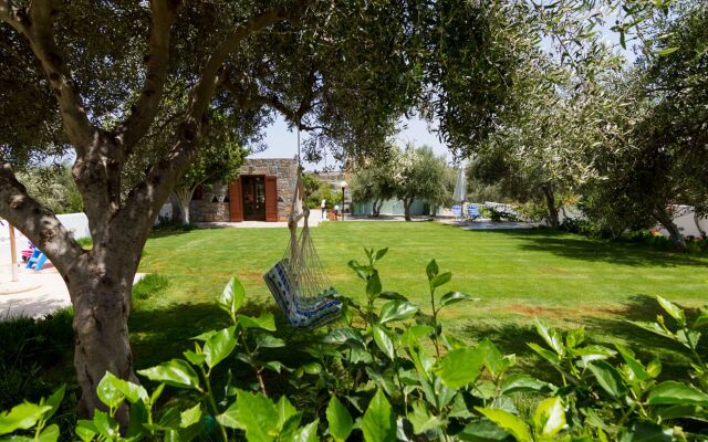Athena Villas Olive Grove & Estate