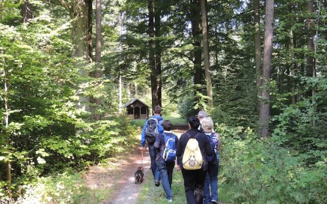 Bürgerhaus Zum Paradies - Pension