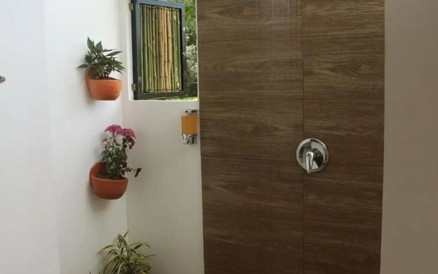 San Juan de los Guayabos