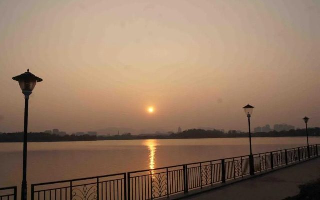 Daily Missing Village Art Yard Country House No. 2 Yard