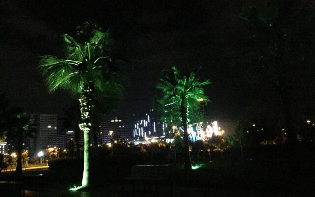 Flat In Batumi Khimshiashvili 43