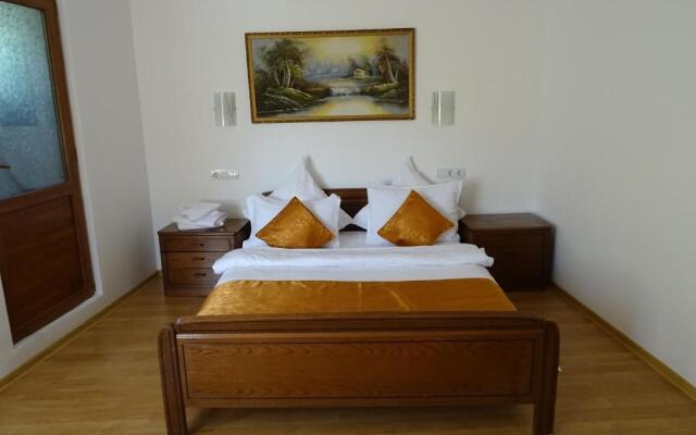 Pension Cuibul Viselor