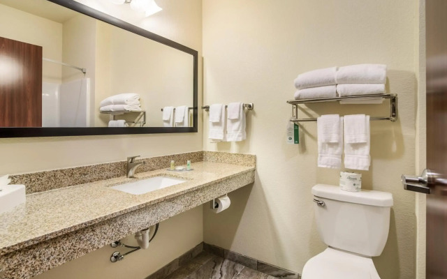Cobblestone Hotel & Suites - Victor