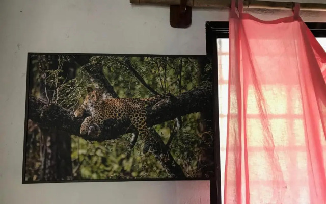 Kamp Kamouflage Kanha