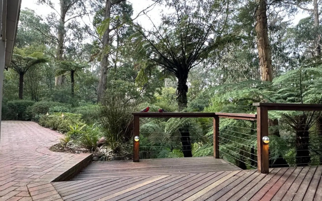 Fernview on Falls